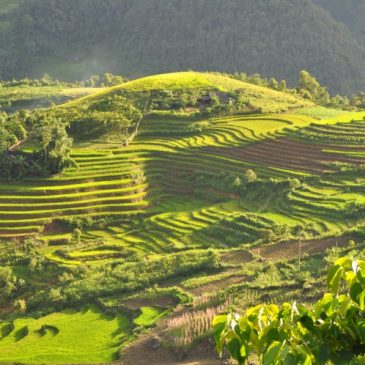 Que ver y hacer en Vietnam – 5 mejores lugares