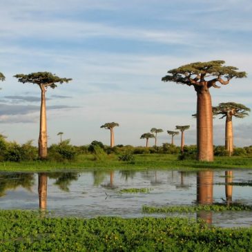 Viajes a Madagascar Patrimonio de la Humanidad