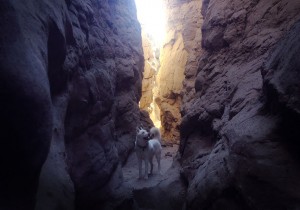The Slot Canyons of Anza-Borrego, CA