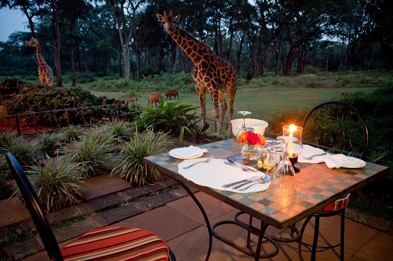 ©  Giraffe Manor / The Safari Collection