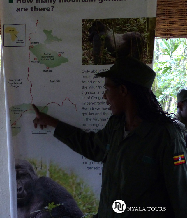 A la llegada el guía nos explicó todo sobre la caminata y los gorilas. On arrival the guide explained all about the walk and of the gorillas. Bwindi.