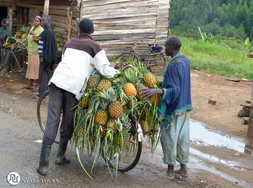 Mercado de piñas, por el camino a Kampala. Pineapple market, on the way to Kampala.