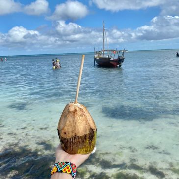 Viaje a Isla Zanzibar