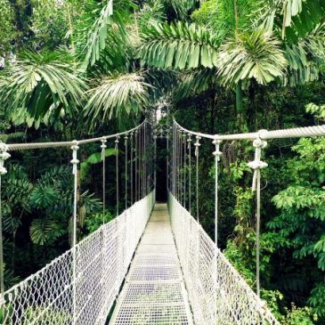Que ver y hacer en Costa Rica – 5 mejores lugares