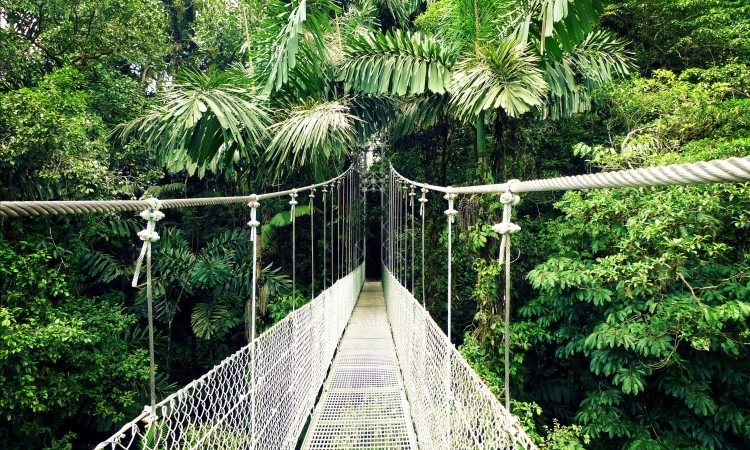 Arenal_Hanging_Bridges,_Costa_Rica2