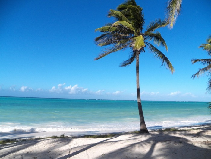 Indian Ocean Karafu2