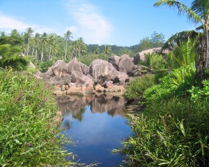 Paisaje de Seychelles
