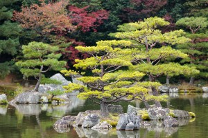 Jardin zen japonés