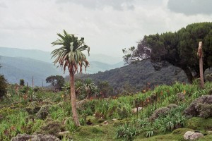 Las tierras altas de Etiopia