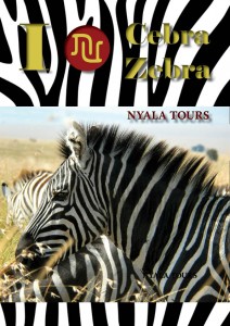 I love zebra Nyala