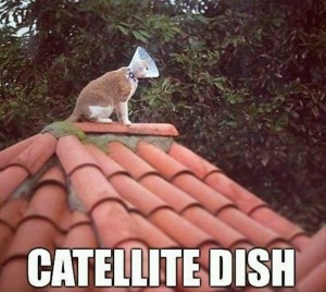 SATELITE CAT DISH