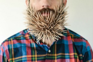 guy-sticks-stuff-in-beard-1