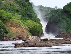 the Murchison Falls in Uganda (Africa)