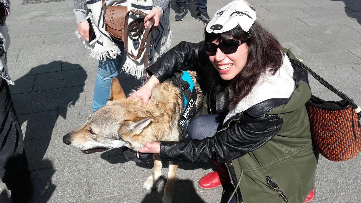 827eadea-e3e7-4c49-9f2f-ed26b87738fa