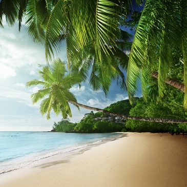 Consejos para viajes a Seychelles