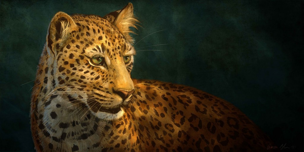 Leopard Leopardo