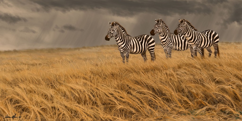 zebra+trio+print