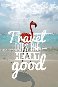 Viajar es bueno para la salud  |  Travel is good for the health