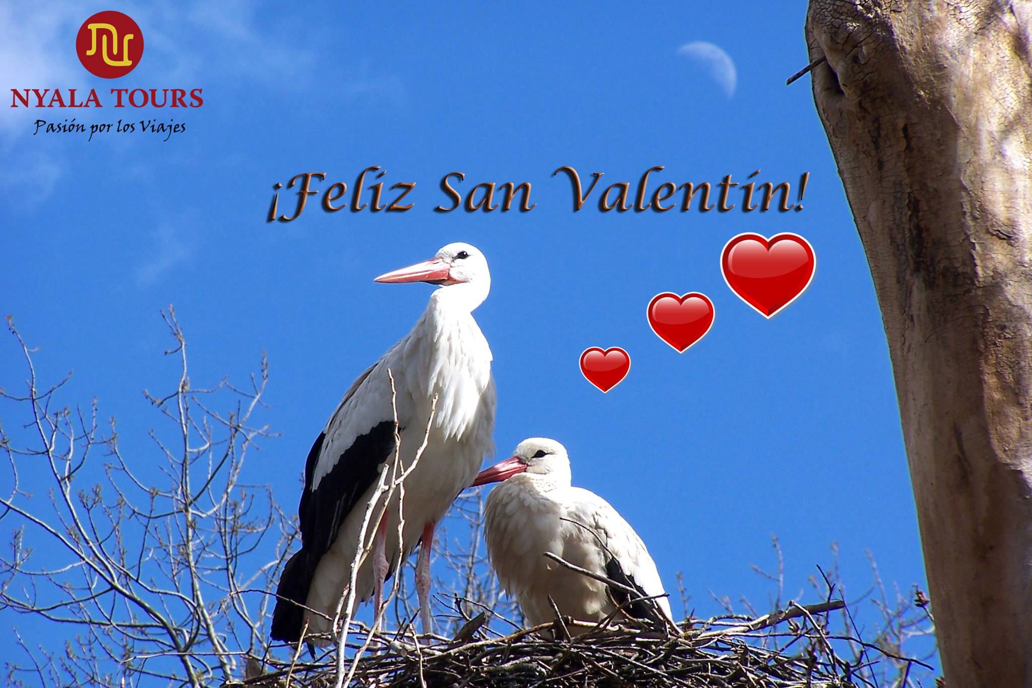 12696996_952388508165484_8847812484938042934_o