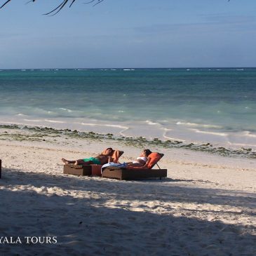 Opiniones de nuestros clientes Viaje a Kenia y Zanzibar