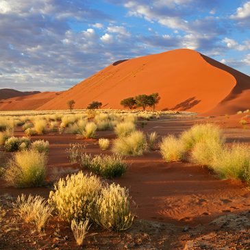 Opiniones – Viaje a Namibia