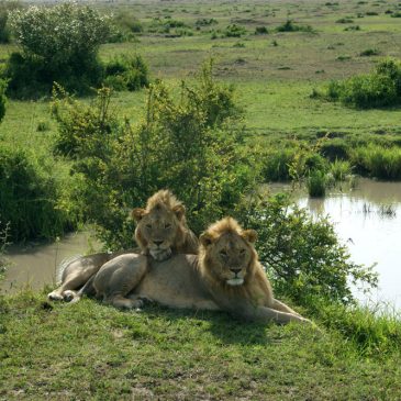 Viaje de Novios a Kenia con Zanzibar