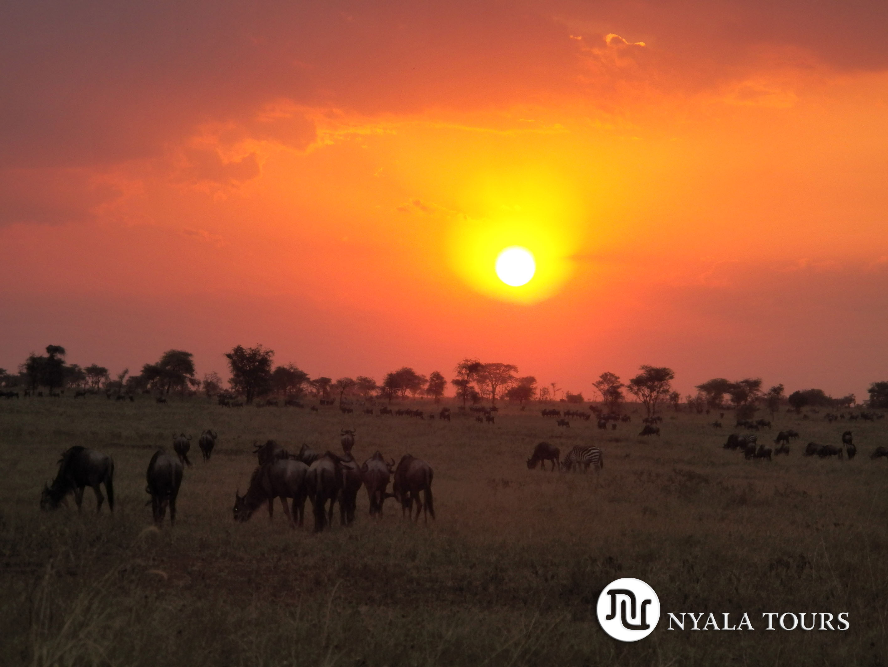 gnu-sunset1
