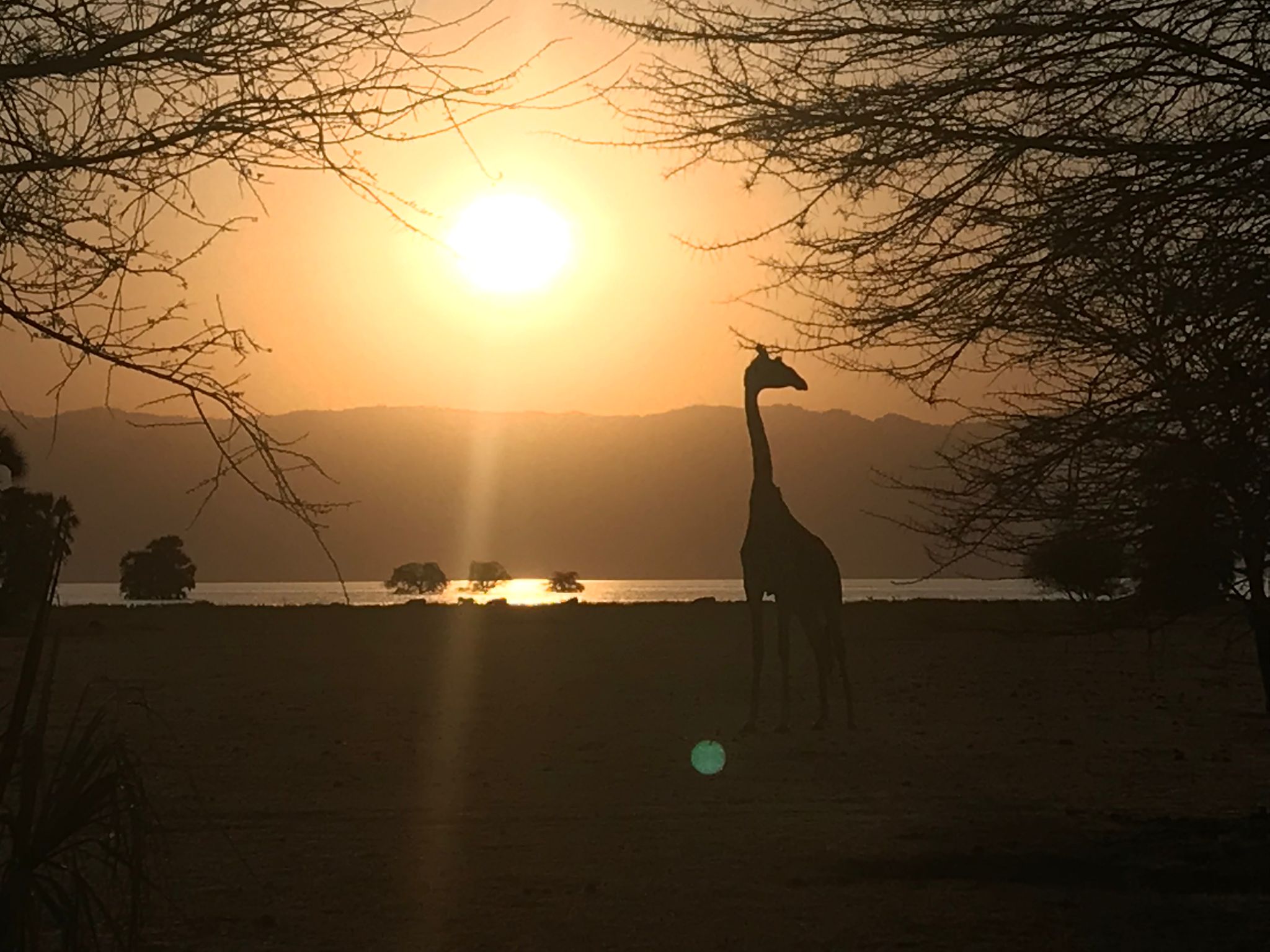 WhatsApp Image 2021-09-09 at 19.45.41