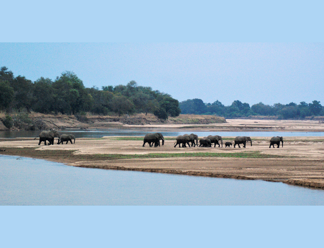 zambia-4