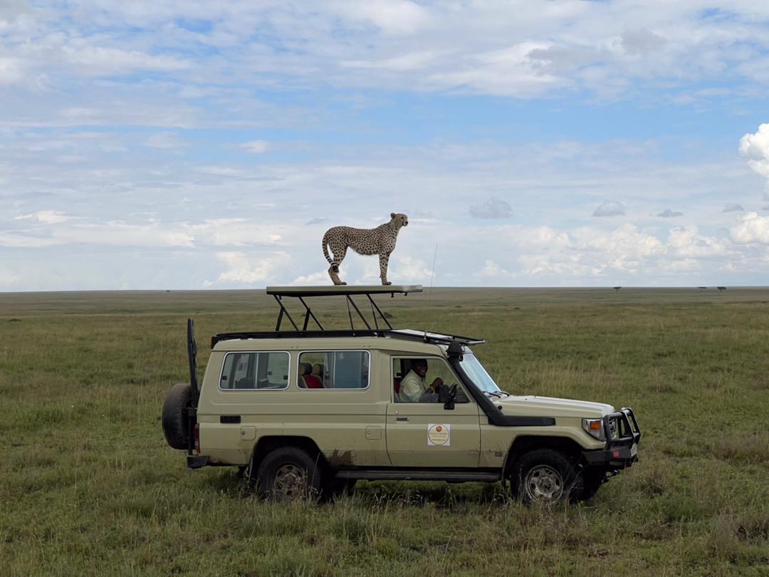 WhatsApp Image 2022-05-30 at 1.31.24 PM