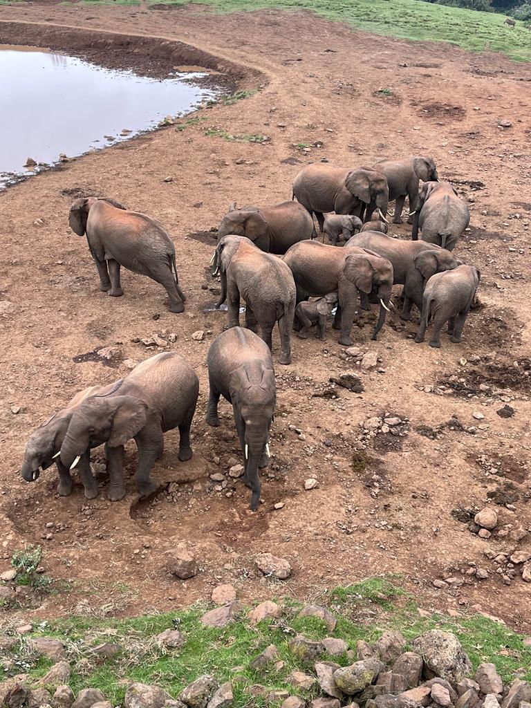 WhatsApp-Image-2022-09-01-at-14.48.12