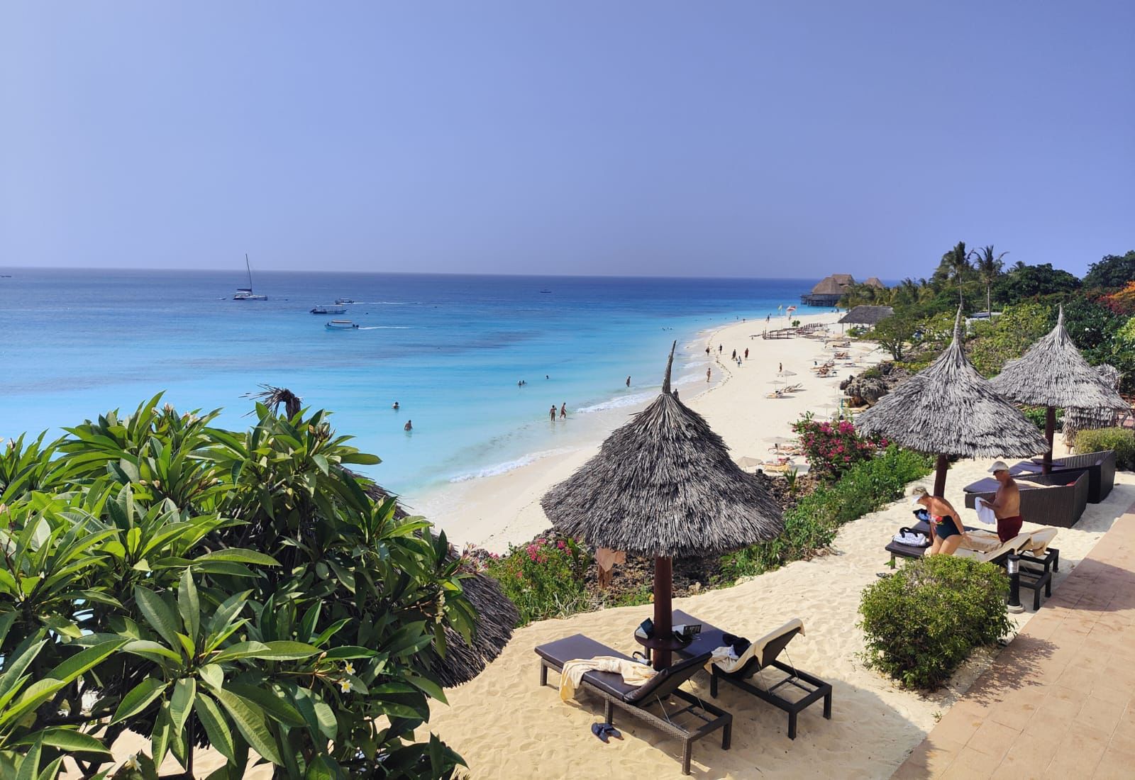 WhatsApp-Image-2023-02-16-at-01.05.04