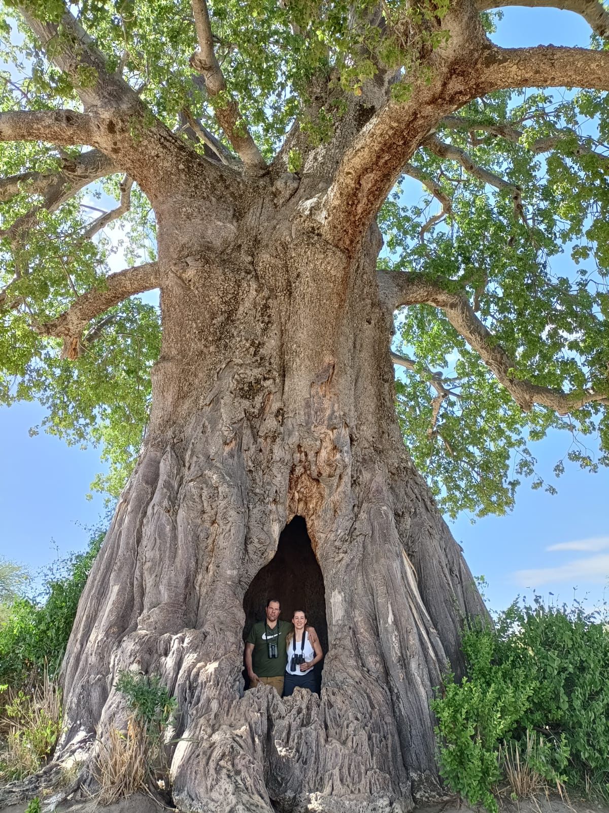 WhatsApp-Image-2023-02-17-at-19.30.27