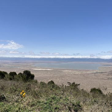 Viaje a Tanzania