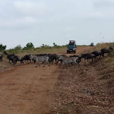 Viaje a Kenia