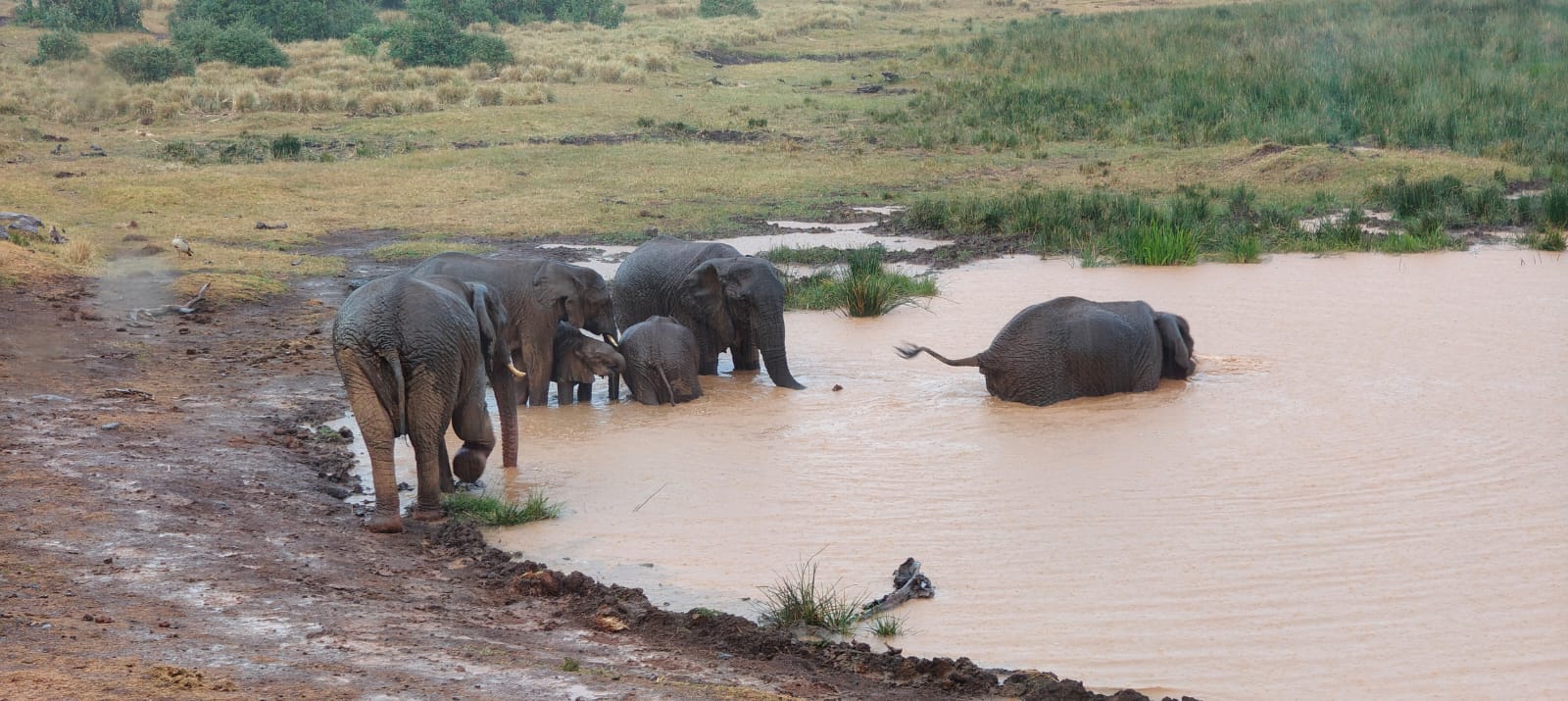 WhatsApp Image 2026-02-21 at 11.06.41