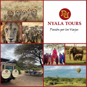 Safari en Kenia y Tanzania con Nyala Tours, fauna salvaje, Masái Mara, Serengeti y viajes a África.