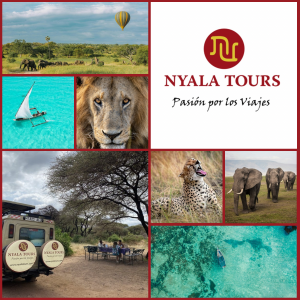 Collage de un viaje a Tanzania y Zanzíbar con safari, animales salvajes y playas