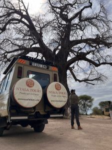 Vehículo de safari de Nyala Tours junto a un baobab en Tanzania