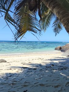Playa tropical de Seychelles durante el viaje de novios de Pedro y Ana