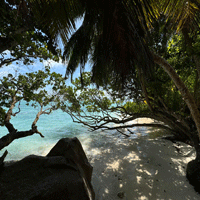 Viaje a Sudáfrica e islas Seychelles – Agosto 2024