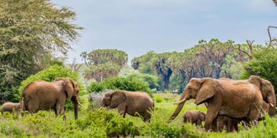 viaje y safari a kenia