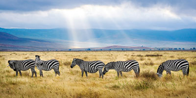 viaje y safari a tanzania