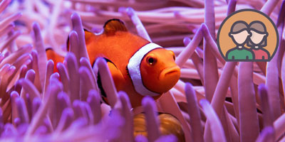 Viaje de novios por Australia con playas, naturaleza y aventura organizada por Nyala Tours